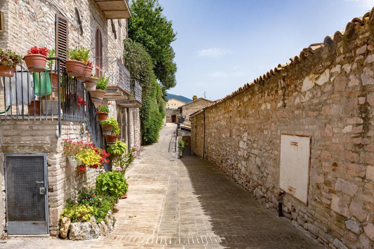 Rustic House, Con Patio E Giardino, Assisi Centro Villa Exteriör bild